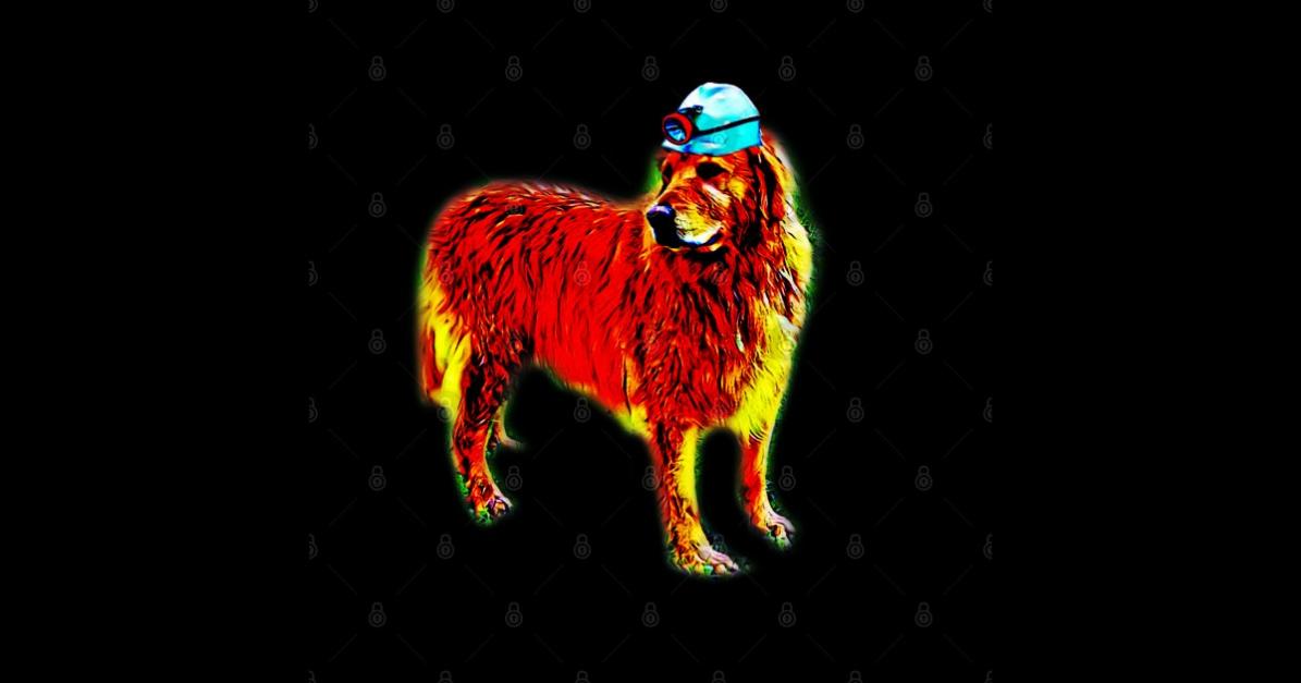 User banner