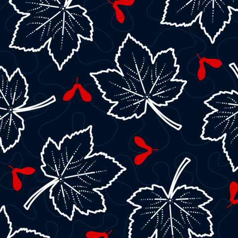 Leaves of Acer pseudoplatanus in white and the fruits are drawn in bright red. The background is a dark blue.