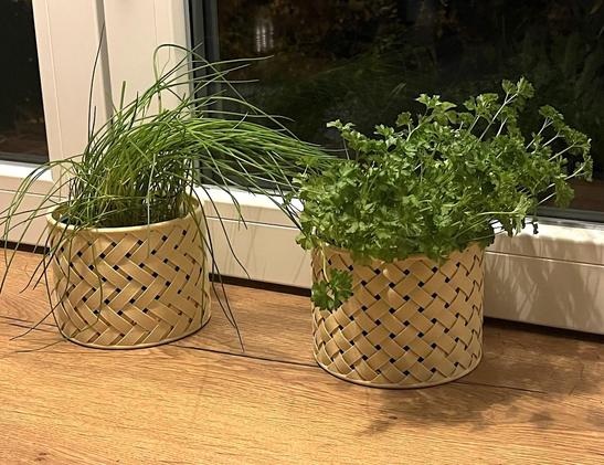 Two 3D-printed baskets as planters for parsley and chives on the windowsill by the kitchen window.
